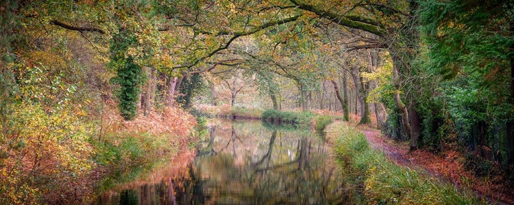 Picture of CANAL THROUGH FOREST