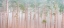 Picture of MISTY FOREST