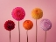 Picture of FIVE DAHLIAS ON PINK BACKGROUND