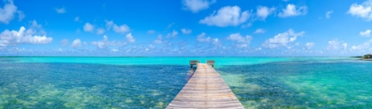 Picture of WOODEN PIER OVER THE SEA, BONAIRE, CARIBBEAN NETHERLANDS