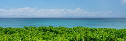 Picture of BEAUTIFUL SEASCAPE IN BARBADOS