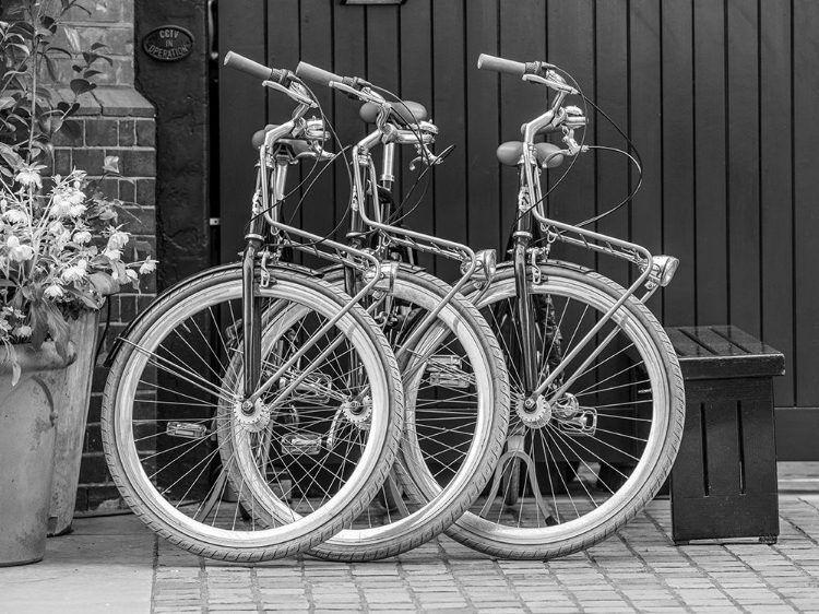 Picture of BICYCLES PARKED ALONG THE STREET