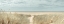 Picture of GRASSY SAND DUNES ON THE SEA COAST UNDER BLUE SKY