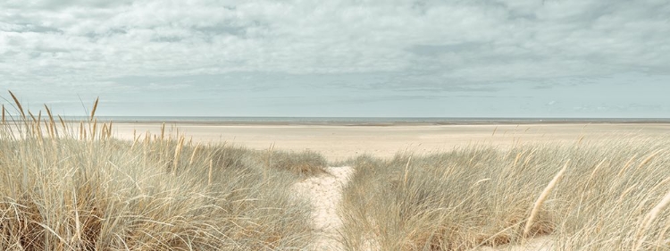 Picture of GRASSY SAND DUNES ON THE SEA COAST UNDER BLUE SKY