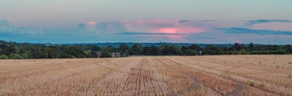 Picture of PANORAMIC VIEW OF WHEAT FIELD AT SUNSET