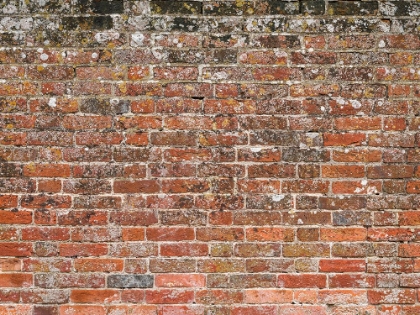 Picture of OLD RED BRICK WALL, FULL FRAME