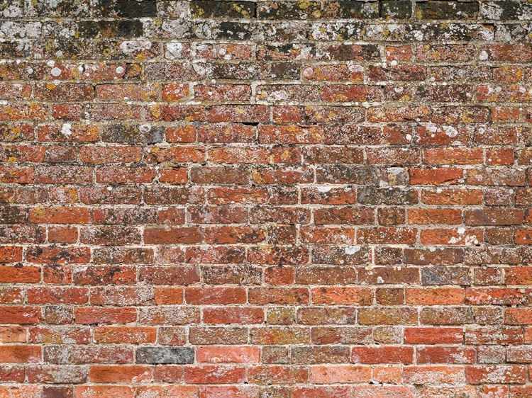 Picture of OLD RED BRICK WALL, FULL FRAME