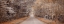 Picture of PATHWAY THROUGH THE AUTUMN FOREST