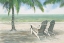 Picture of TROPICAL TREAT