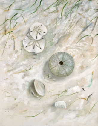 Picture of SEASIDE URCHIN