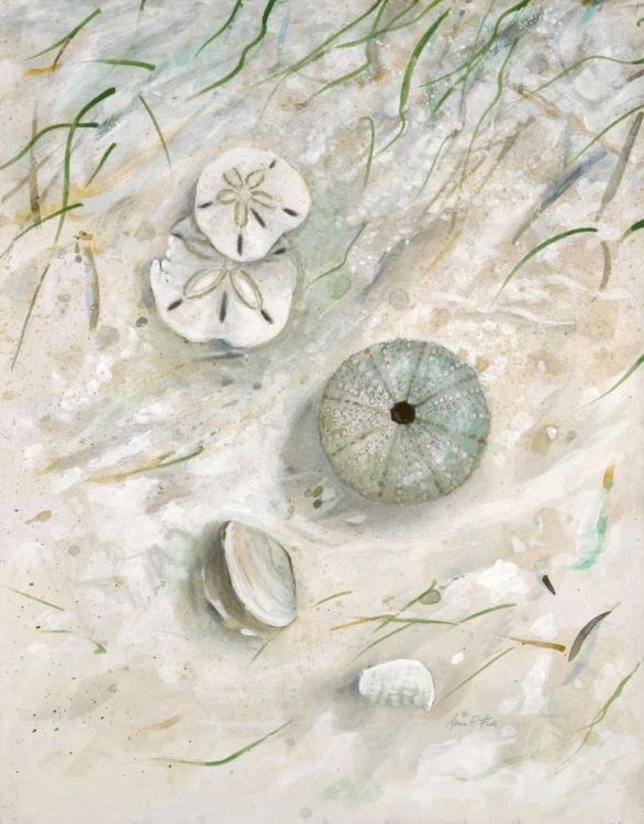 Picture of SEASIDE URCHIN