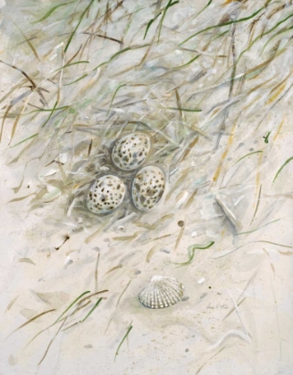 Picture of SEASIDE NEST    