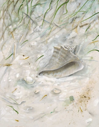 Picture of SEASIDE CONCH 