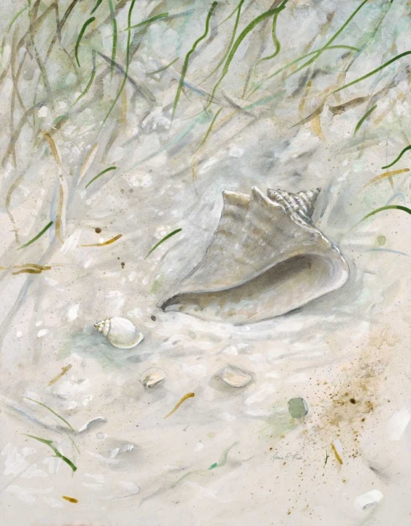 Picture of SEASIDE CONCH 