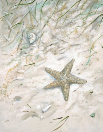 Picture of SEASIDE STARFISH