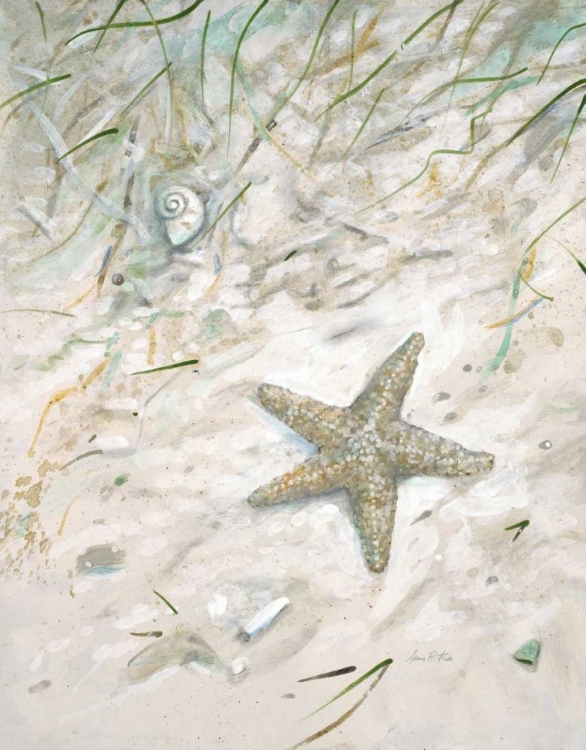 Picture of SEASIDE STARFISH