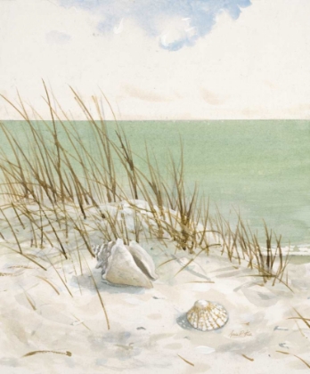 Picture of SEASIDE BLUFF  