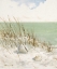 Picture of SEASIDE BLUFF  