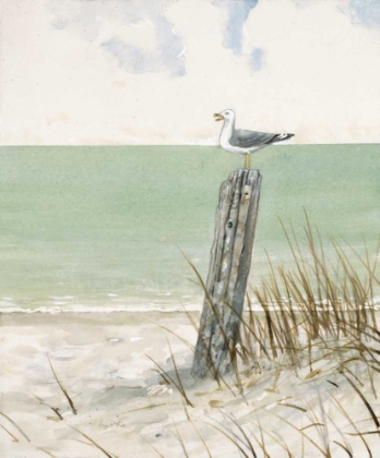 Picture of SEASIDE PERCH