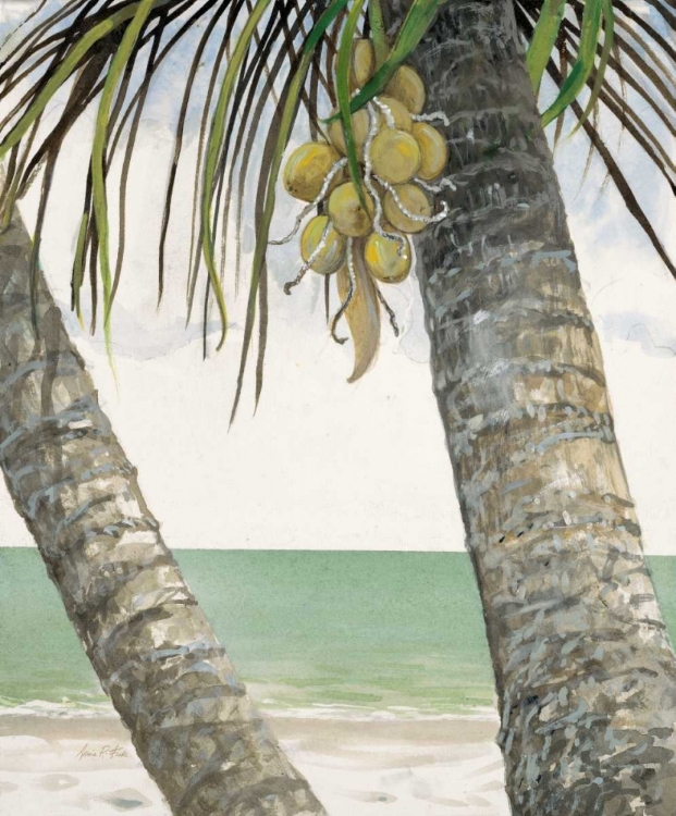 Picture of SEASIDE COCONUTS