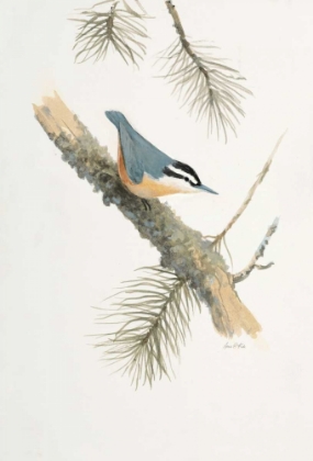 Picture of BIRD IN GREY