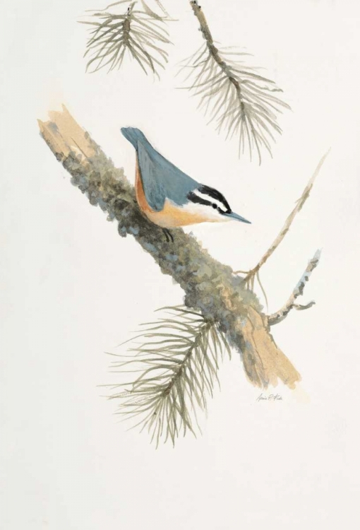 Picture of BIRD IN GREY
