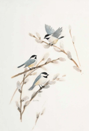 Picture of BIRD IN WHITE