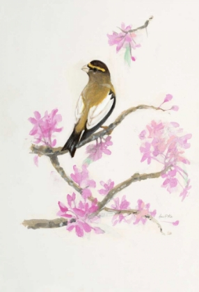 Picture of BIRD IN BROWN