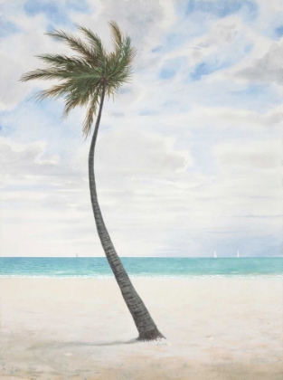 Picture of BREEZY PALM 1