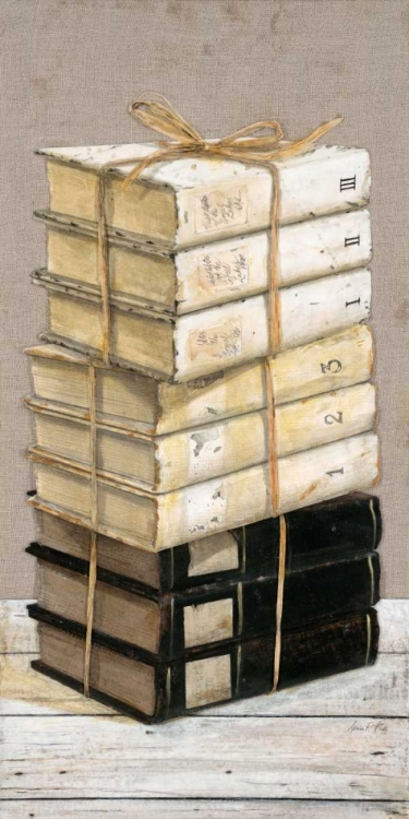 Picture of INDUSTRIAL CHIC BOOKS