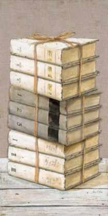 Picture of SHABBY CHIC BOOKS