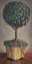 Picture of HOLIDAY PLUM TOPIARY