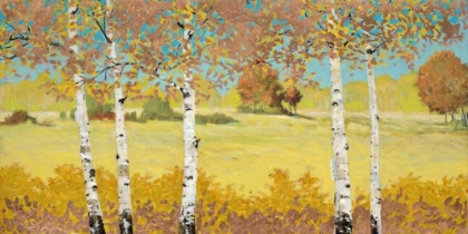 Picture of COPPER BIRCH