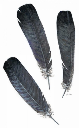 Picture of FEATHER STUDY 2