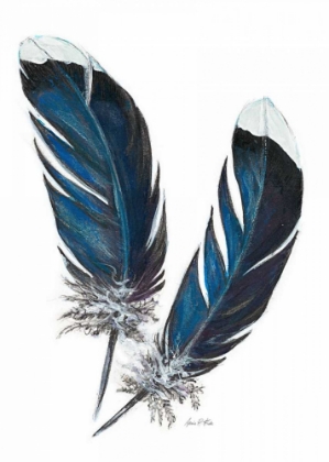 Picture of FEATHER STUDY 4