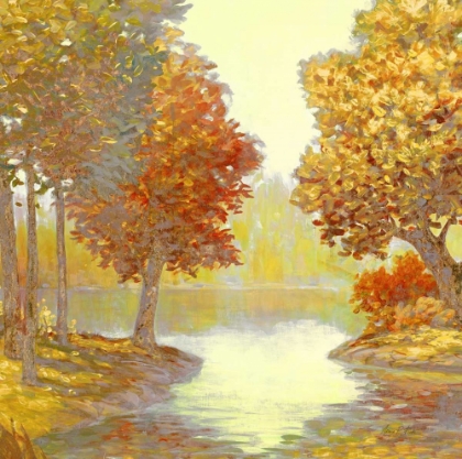 Picture of AMBER NATURE 1