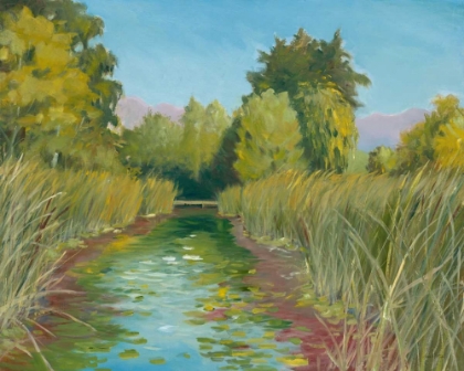 Picture of WETLAND SANCTUARY