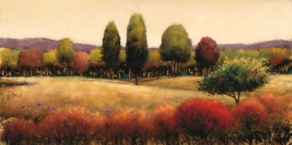 Picture of VISTA