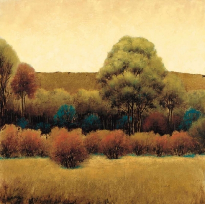 Picture of AMBER HORIZON 2