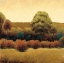 Picture of AMBER HORIZON 2