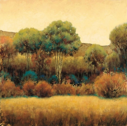 Picture of AMBER HORIZON 1