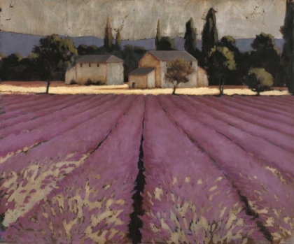 Picture of LAVENDER WEEKEND