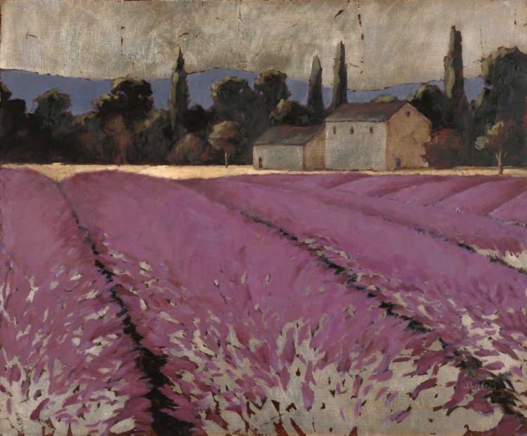 Picture of LAVENDER FIELDS 2