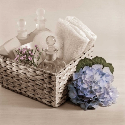 Picture of HYDRANGEA AND BASKET 2