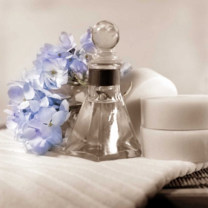 Picture of HYDRANGEA AND TRAY