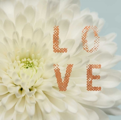 Picture of LOVE FLOWER