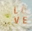 Picture of LOVE FLOWER