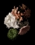 Picture of MIDNIGHT HYDRANGEA