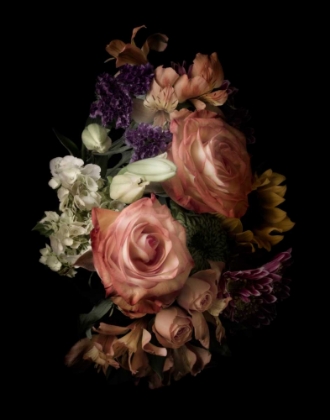 Picture of MIDNIGHT ROSES