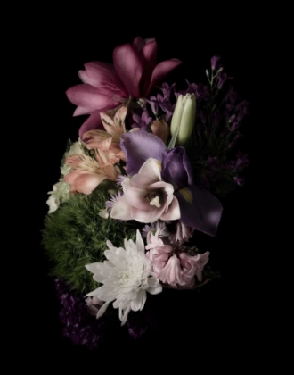 Picture of MIDNIGHT MAGNOLIA